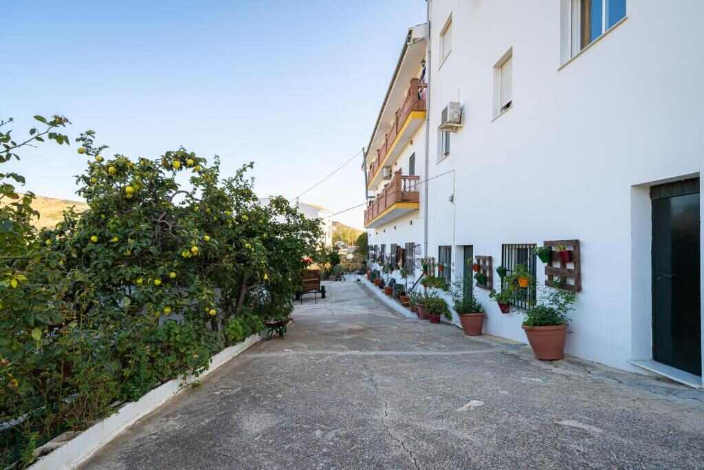Lane beside Hostal Vista a la Sierra with lemon trees and the white facade